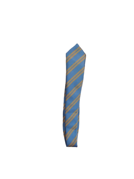 Erica Primary Tie