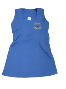 Erica Primary Dress