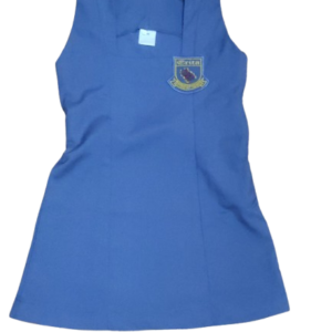 Erica Primary Dress