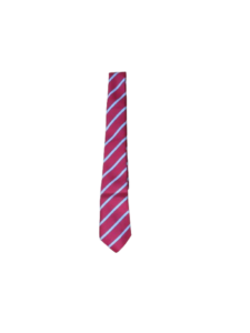 Bellville Primary Tie