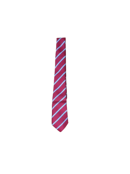 Bellville Primary Tie