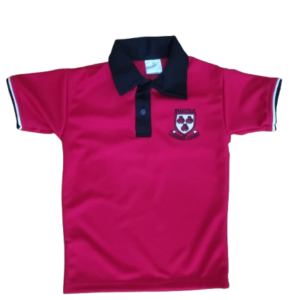 Bellville Primary Short Sleave Top